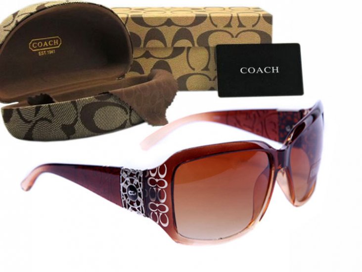 Coach Sunglasses 8025 | Women